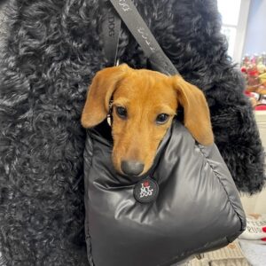 i love my dog daunen bag black i love my dog daunen bag black