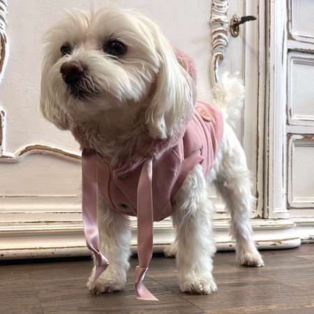 hoodie feels good puder rosa