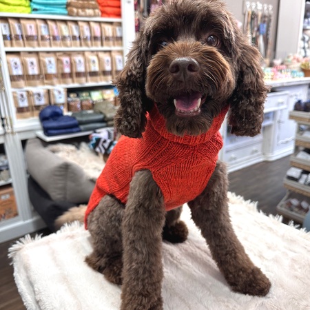 hunde cashmere sweater hermes orange hunde cashmere sweater hermes orange