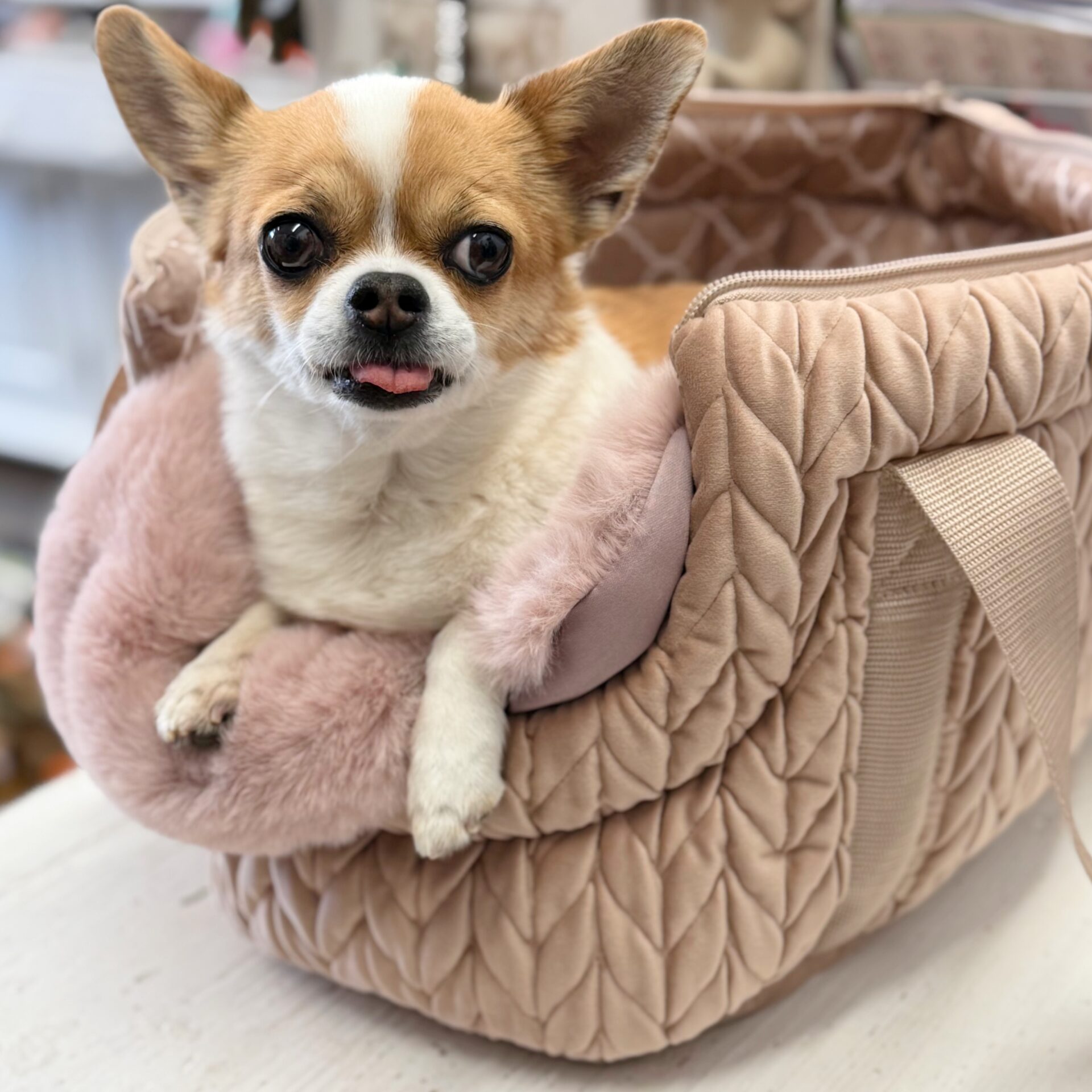 soft dogbag coco rose soft dogbag coco rose