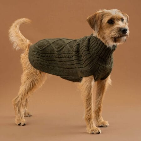 hundepullover forest green alpaca von alqo wasi hundepullover forest green alpaca von alqo wasi